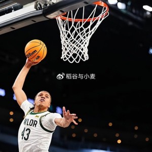 搜狐体育动态-2026级新秀观察（17）：贝勒大学大三得分手的行情还能继续提升？|卡尔|投篮|特伦斯-罗斯|NCAA|贝勒大学熊队_新浪体育_新浪新闻